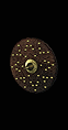 Small Shield